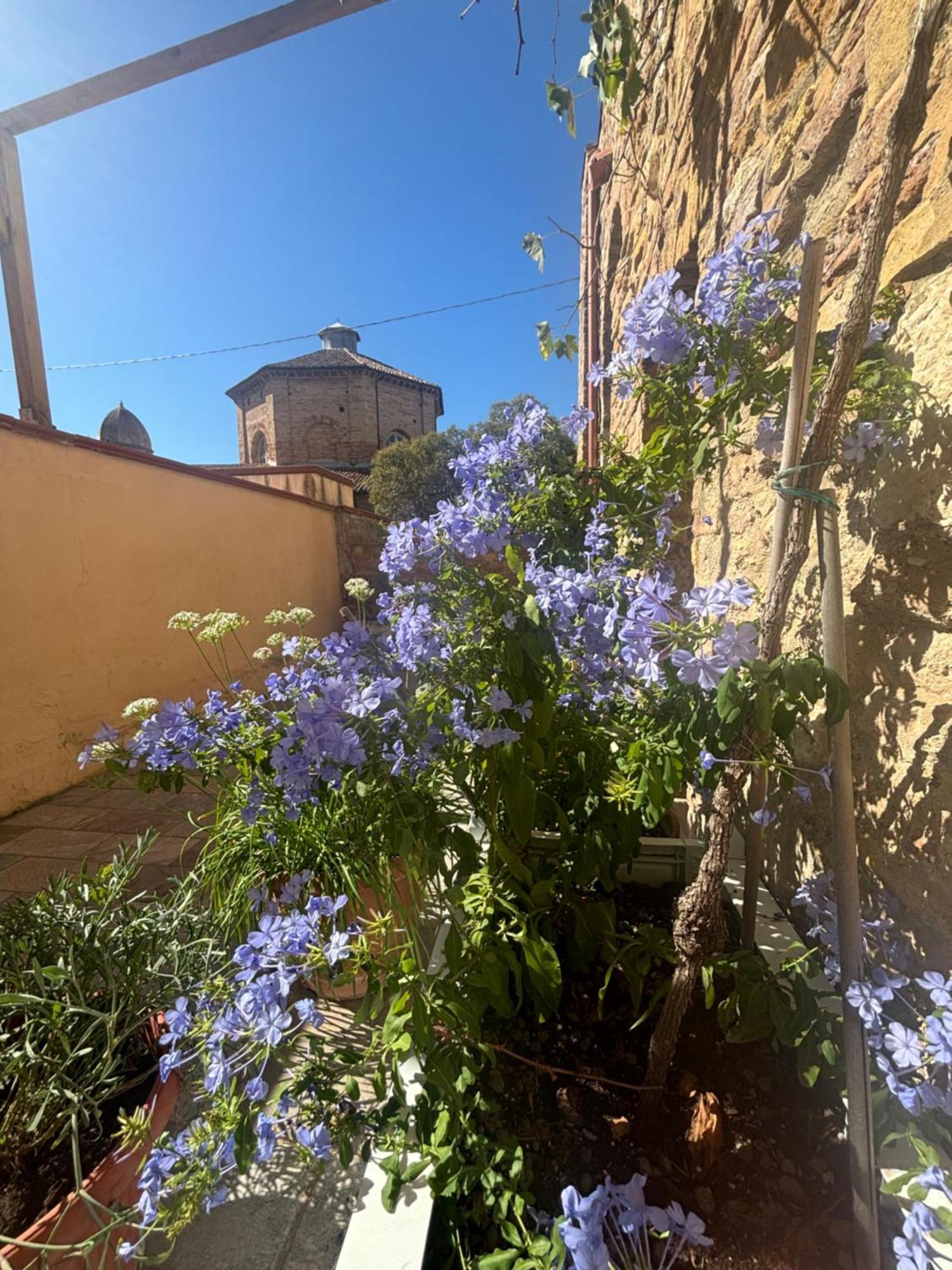 Domus Mirabilis Homestay Ancona Exteriör bild